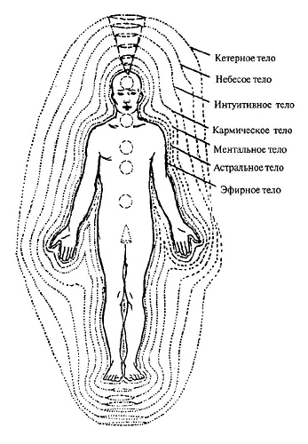 В соответствие с различными эзотерическими учениями, человек имеет несколько тел