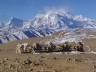 Тибет, горы
